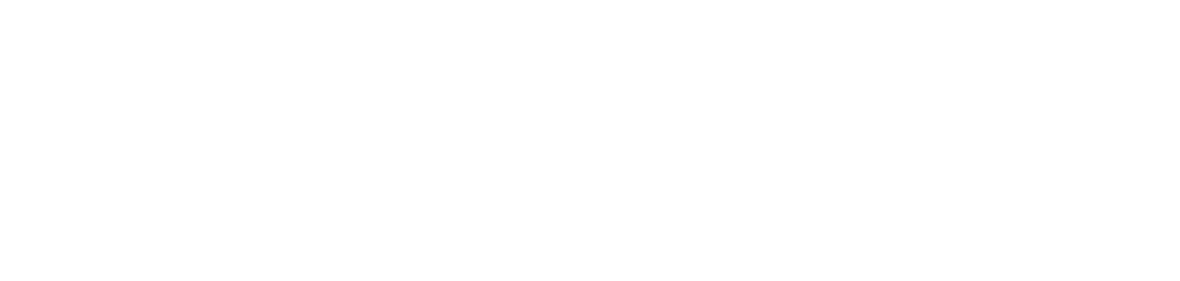 Parvis Invest